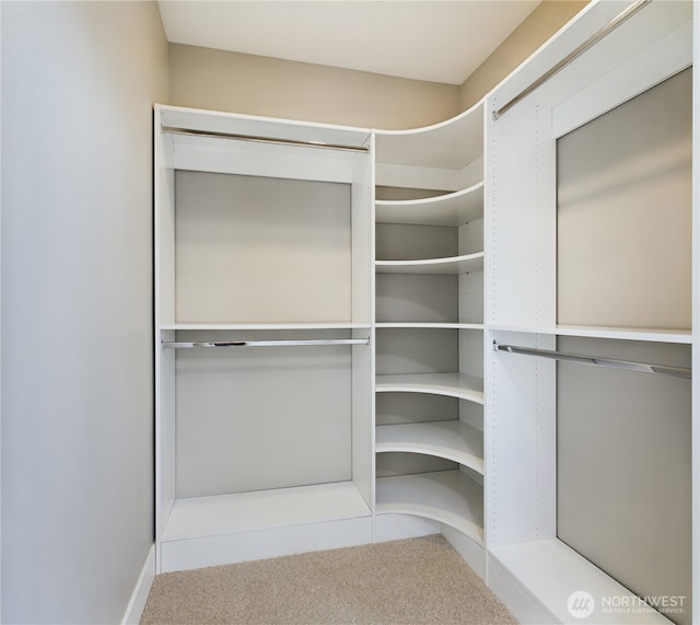 walk in closet with carpet