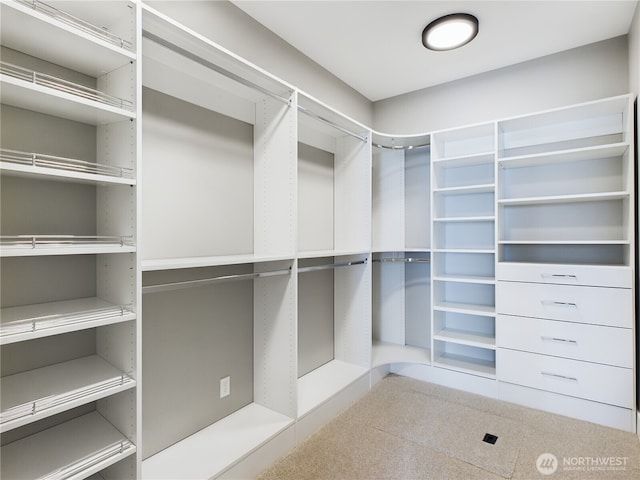 view of spacious closet