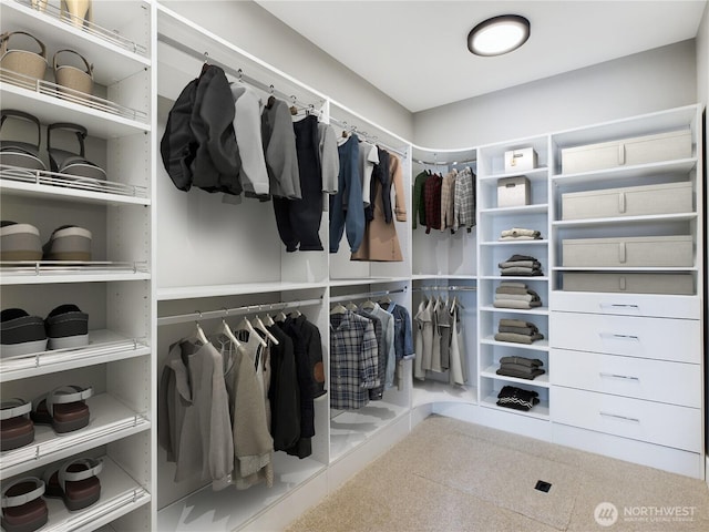 view of spacious closet