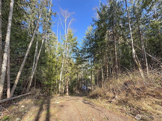 view of road featuring a forest view