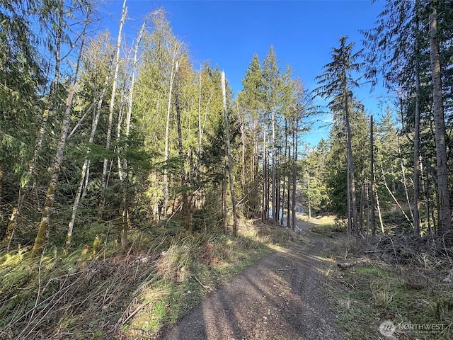 view of road featuring a forest view