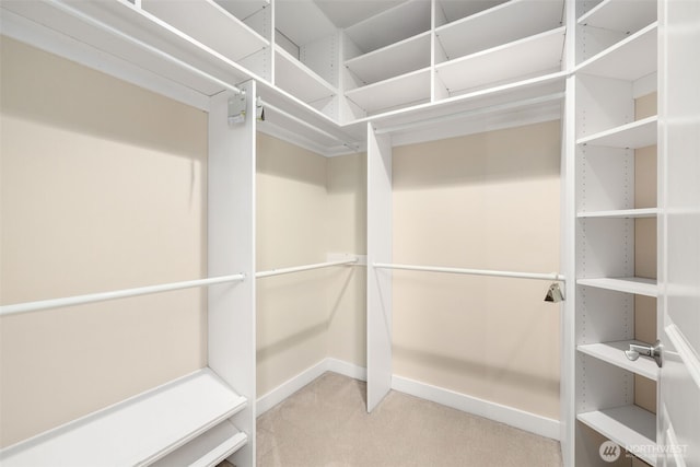 spacious closet with carpet