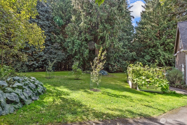 view of yard featuring a garden