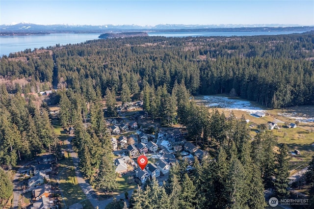 aerial view featuring a water view and a forest view