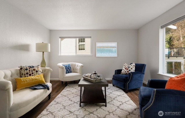 566 Creekside Ter Unit 101, Langley, WA 98260 - living area featuring wood finished floors and baseboards