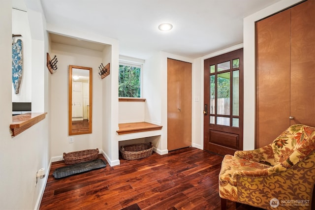 entrance foyer featuring baseboards and dark wood-type flooring