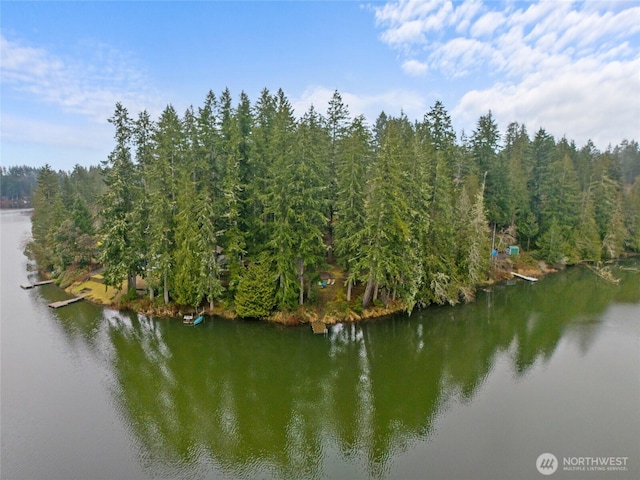 bird's eye view with a water view and a forest view