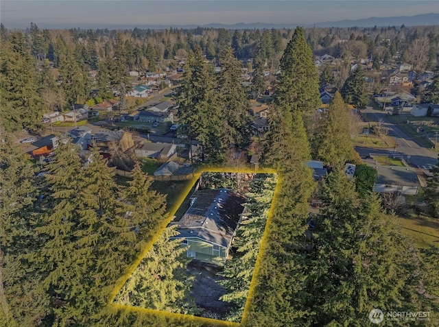 drone / aerial view featuring a forest view