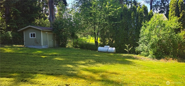 13837 Horsefall Ave SE, Rainier, WA 98576 - view of yard