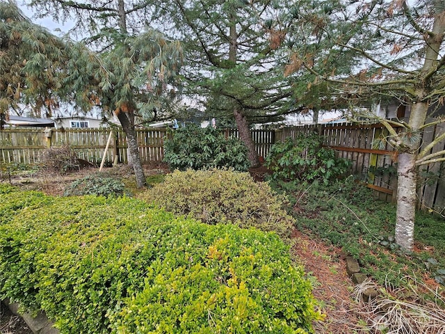 view of yard featuring fence