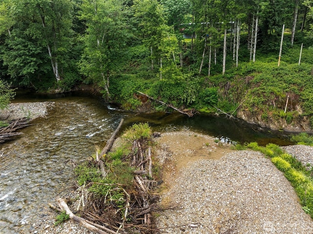 view of local wilderness with a wooded view