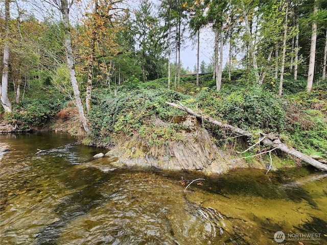 view of nature featuring a forest view