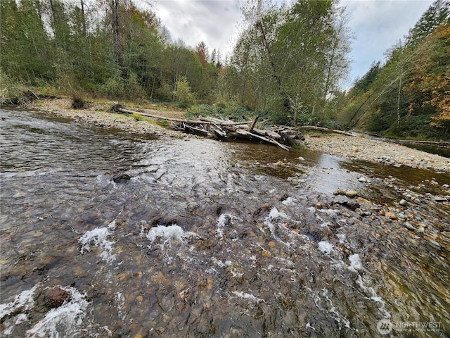 view of water feature with a view of trees