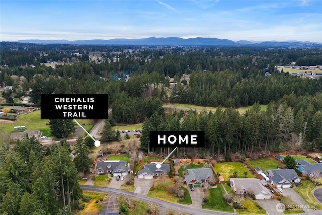 aerial view with a mountain view and a forest view