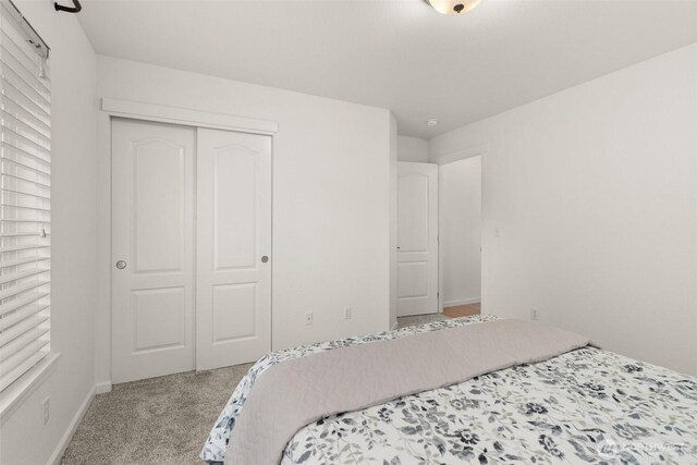 bedroom featuring carpet flooring, baseboards, and a closet