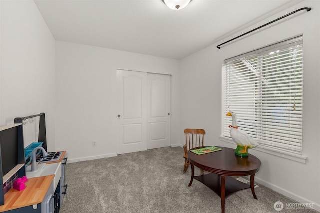 sitting room with baseboards and carpet