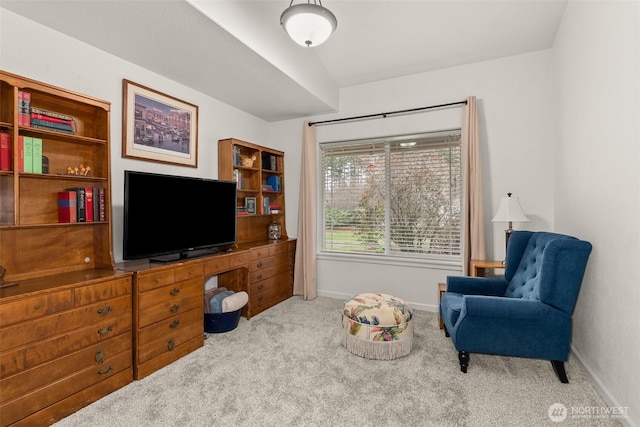 living area featuring baseboards and carpet floors