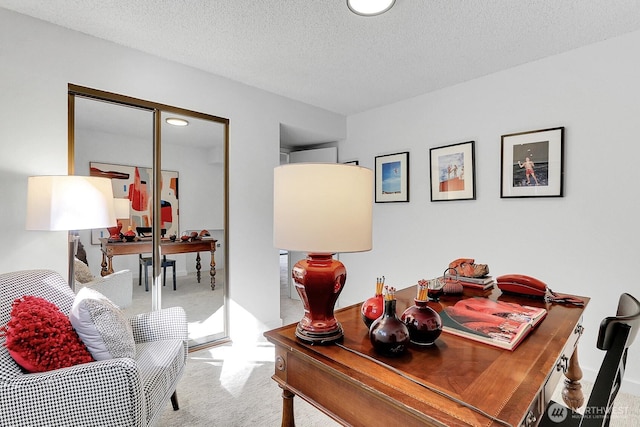 home office with carpet and a textured ceiling