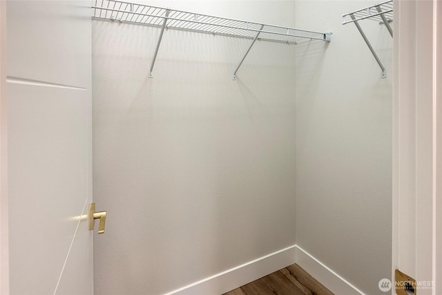 walk in closet featuring dark wood-style floors