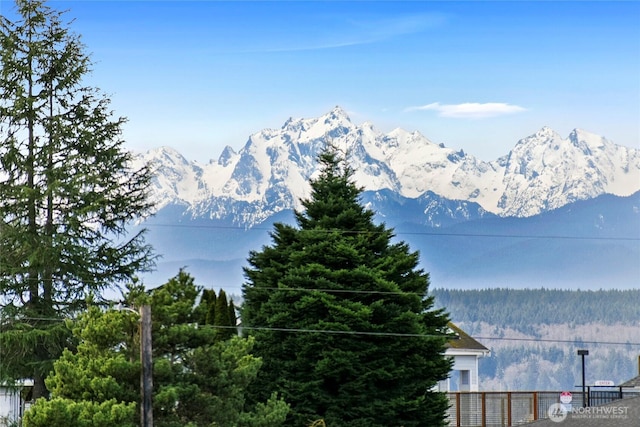 property view of mountains featuring a view of trees