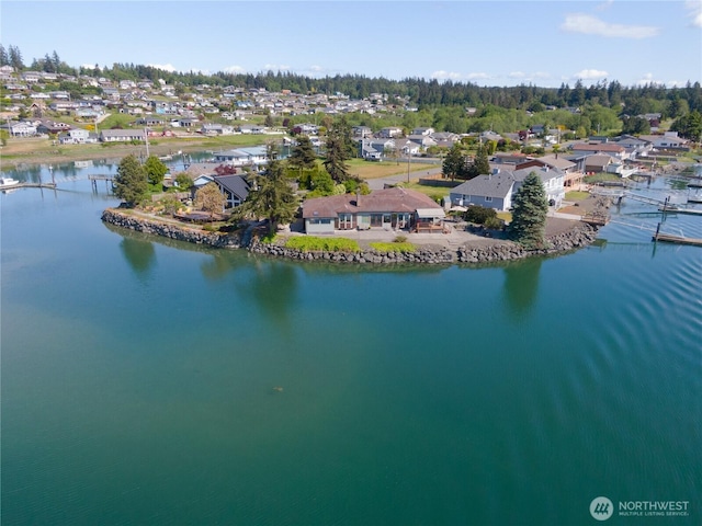 bird's eye view with a residential view and a water view