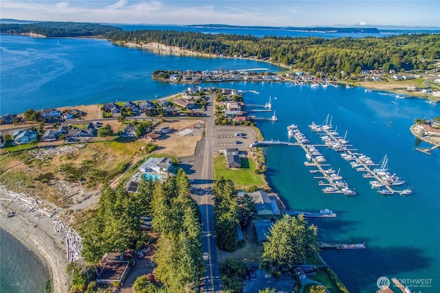 birds eye view of property with a forest view and a water view