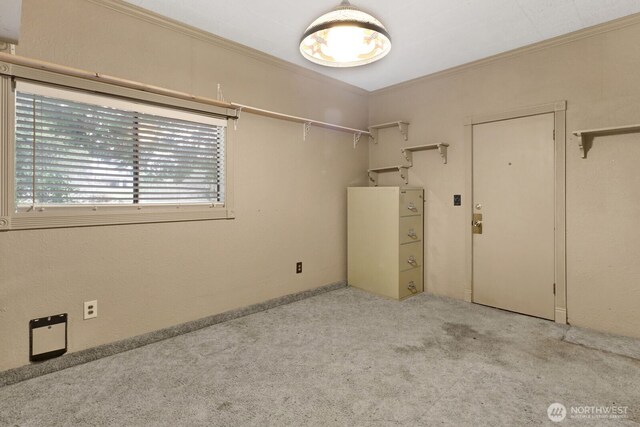 interior space with light carpet and ornamental molding