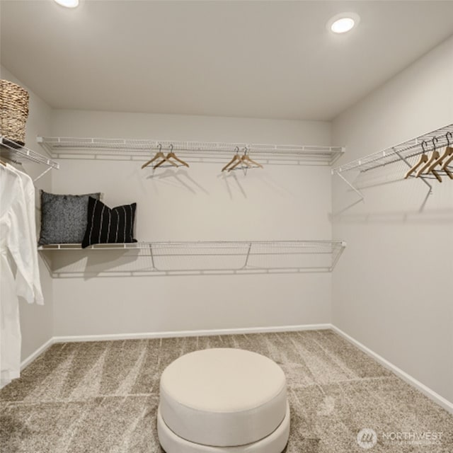 spacious closet featuring carpet