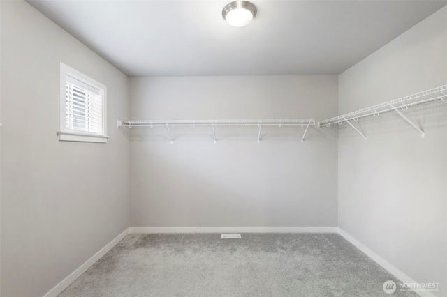 walk in closet featuring carpet flooring