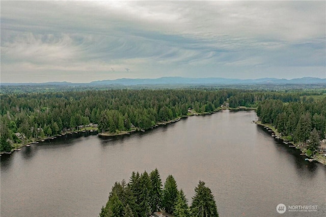 drone / aerial view with a forest view and a water and mountain view