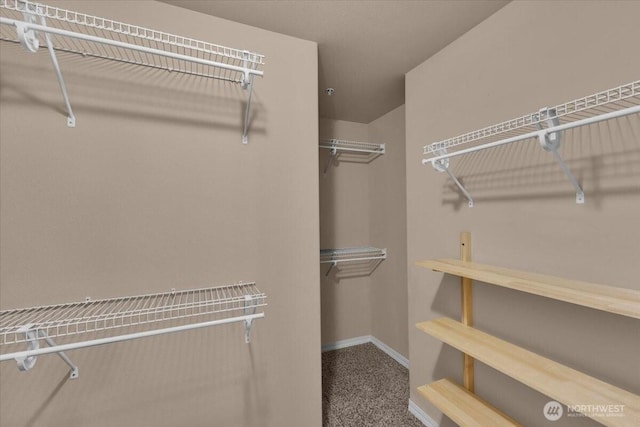 spacious closet featuring carpet