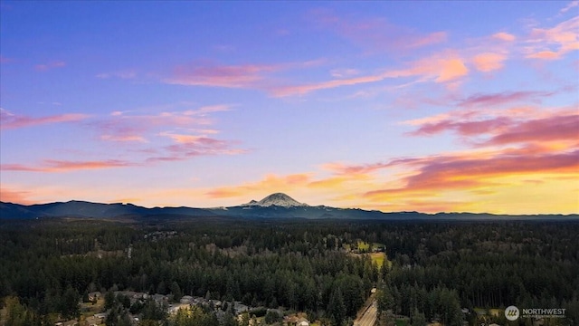 property view of mountains featuring a forest view