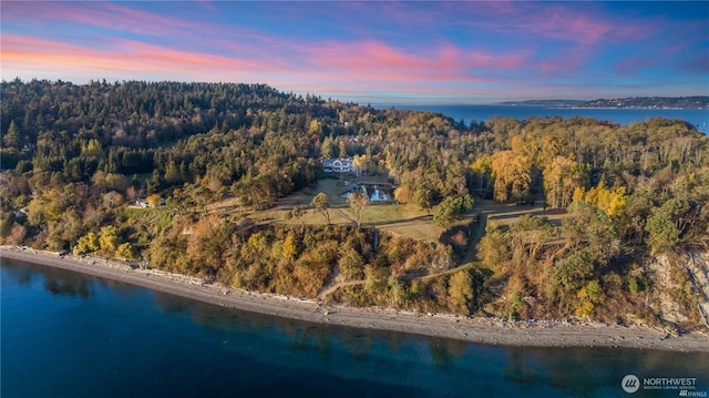 aerial view at dusk with a water view and a forest view