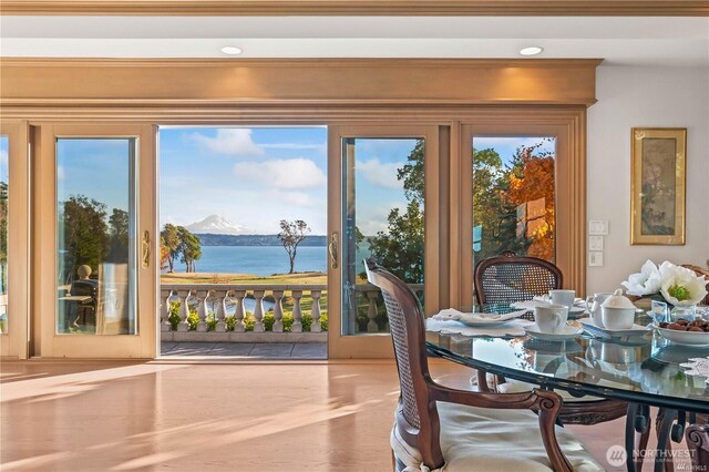 doorway featuring wood finished floors and a water and mountain view