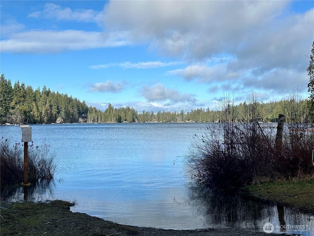 water view featuring a view of trees