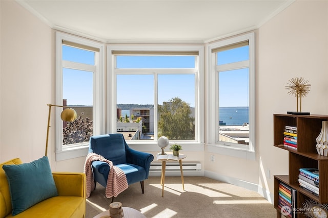 living area with carpet, a water view, a baseboard heating unit, ornamental molding, and baseboards