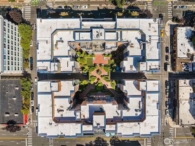 drone / aerial view
