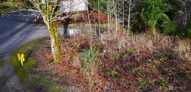 Listing photo 3 for 0D Caseco Ln, Port Orchard WA 98366