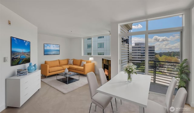 300 110th Ave NE Unit 605, Bellevue, WA 98004 - living area featuring a warm lit fireplace