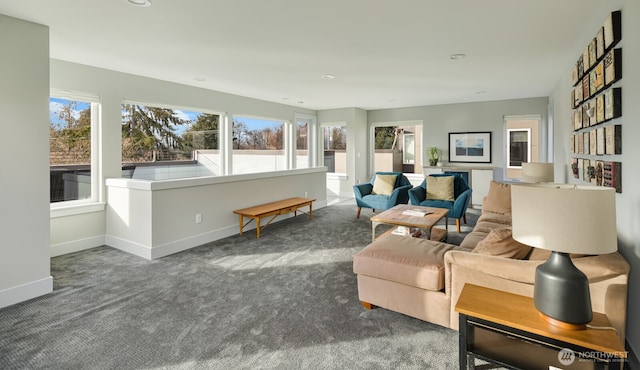 sitting room featuring a wealth of natural light, baseboards, and carpet