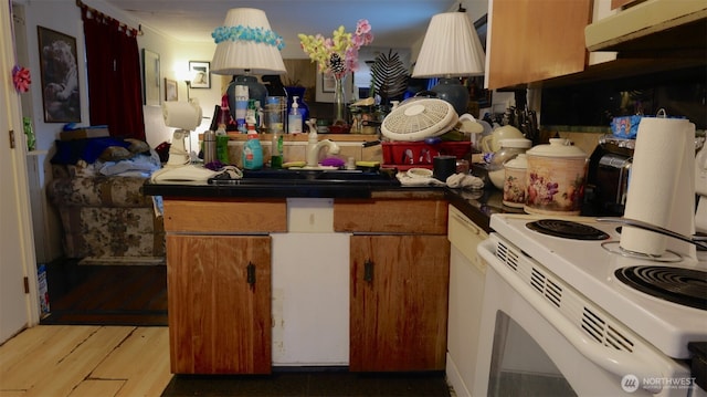 kitchen with light wood finished floors, electric range, and a sink