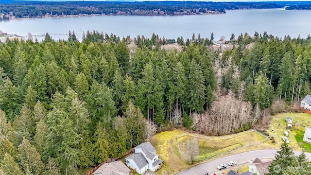 bird's eye view with a water view and a forest view