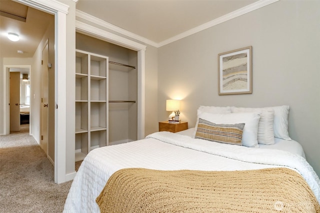 carpeted bedroom with crown molding and a closet