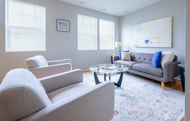 living area featuring wood finished floors