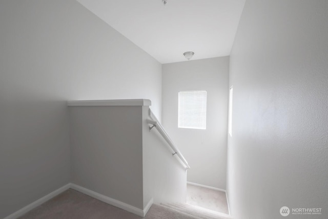 stairs featuring carpet floors and baseboards