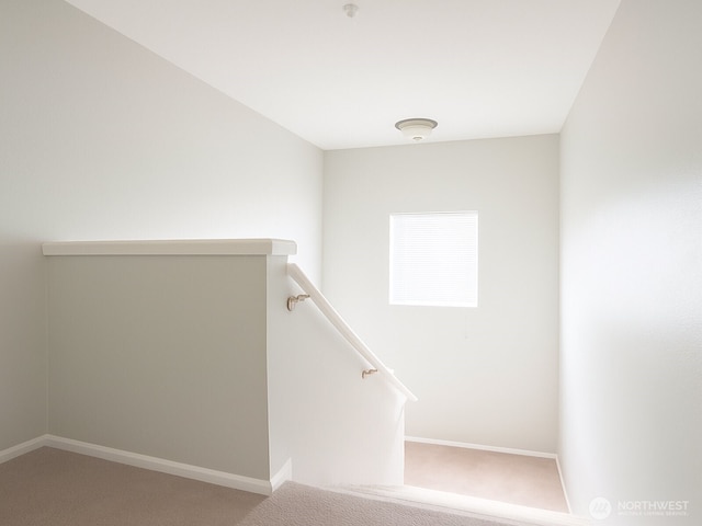 3733 S Holly Park Dr Unit 4, Seattle, WA 98118 - photo 30