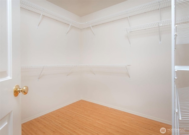 spacious closet with wood finished floors