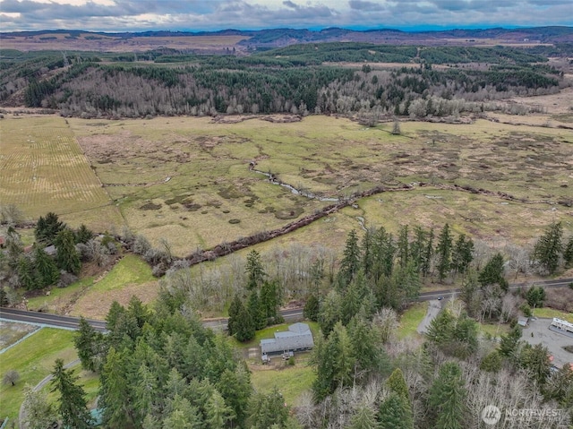 bird's eye view featuring a mountain view and a rural view