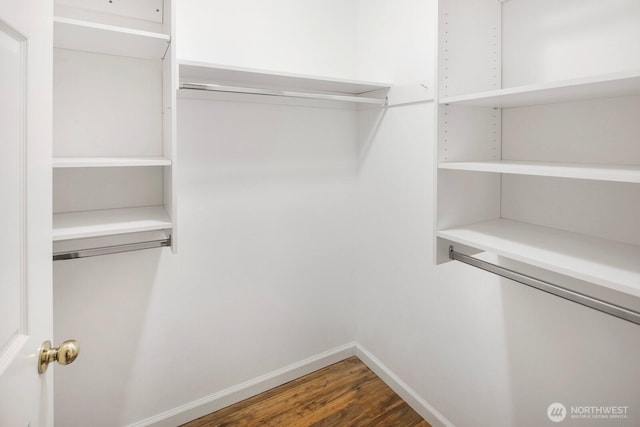 walk in closet featuring wood finished floors