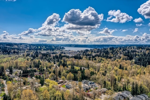 mountain view with a water view and a view of trees